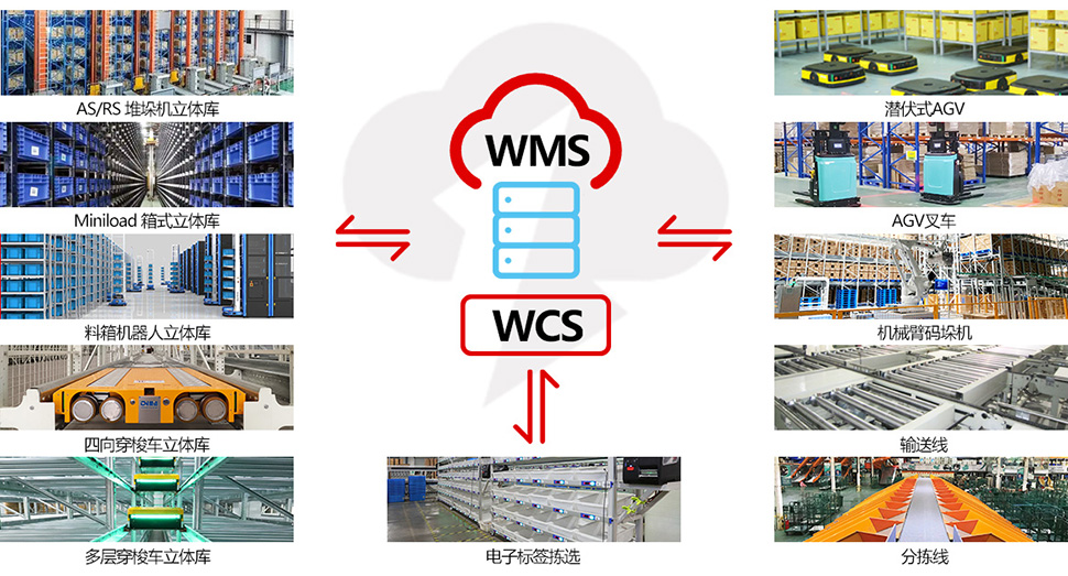 wms+wcs